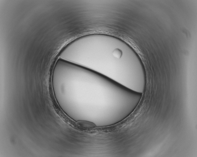 X0000113060434200908280951
