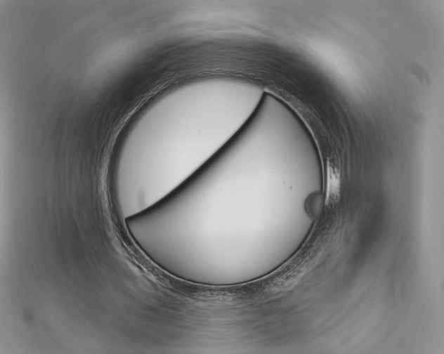 X0000113060435200908280951