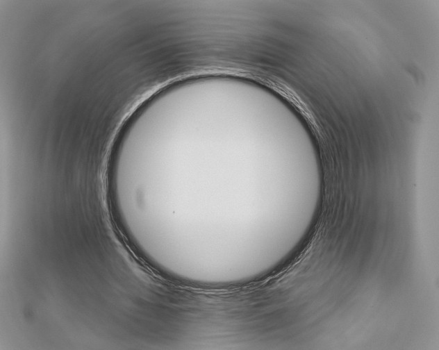 X0000113060436200908280951