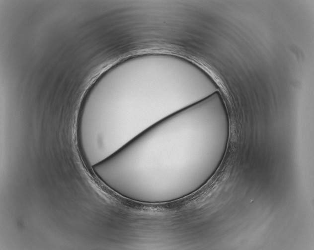 X0000113060437200908280951