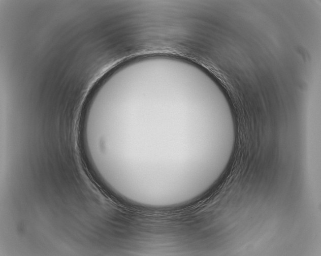 X0000113060440200908280951
