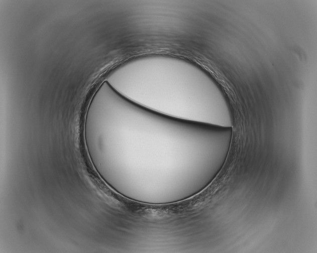 X0000113060442200908280951