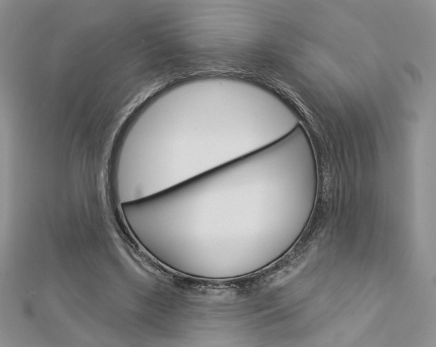 X0000113060443200908280951