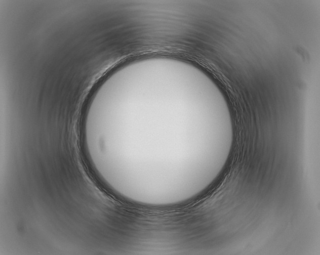 X0000113060444200908280951