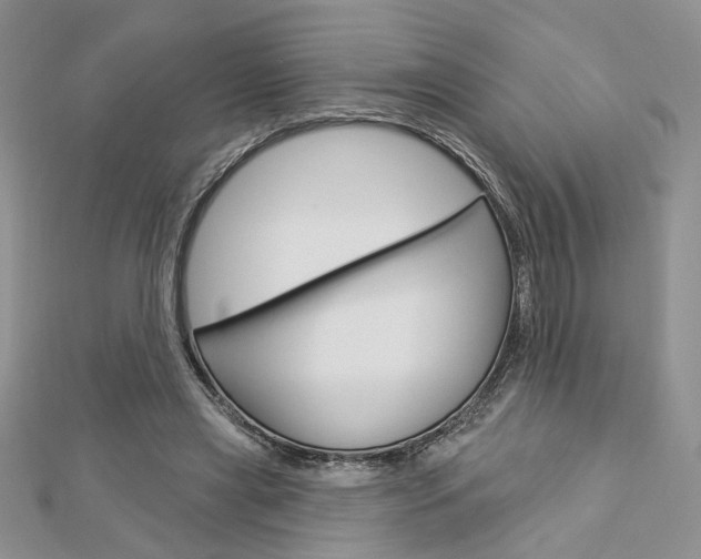 X0000113060445200908280951
