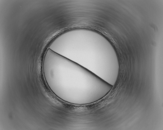 X0000113060446200908280951