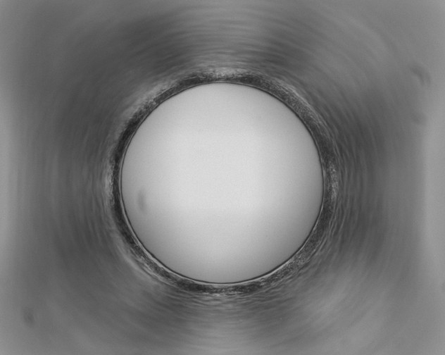 X0000113060447200908280951