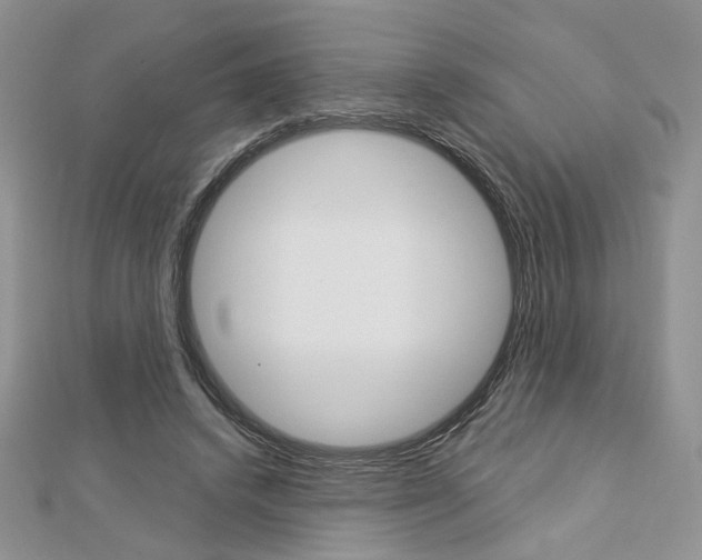X0000113060448200908280951