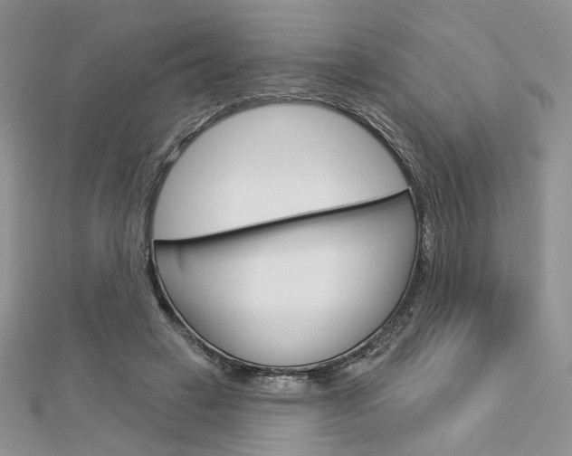 X0000113060449200908280951