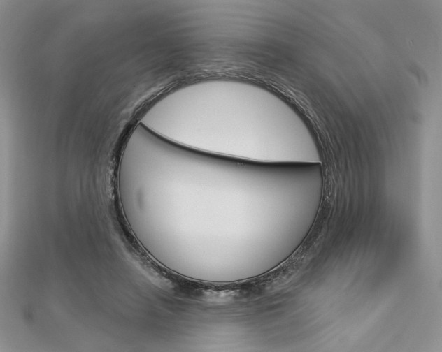 X0000113060450200908280951