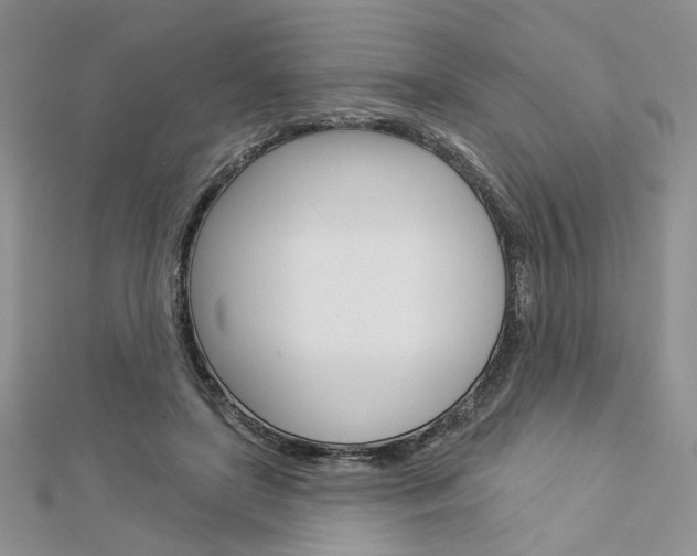 X0000113060451200908280951