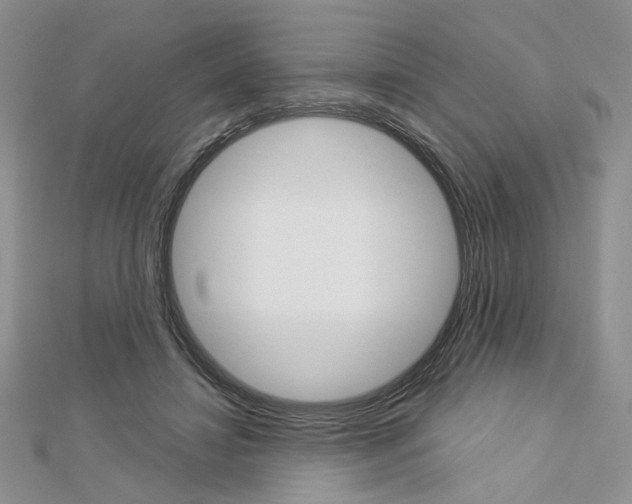 X0000113060452200908280951