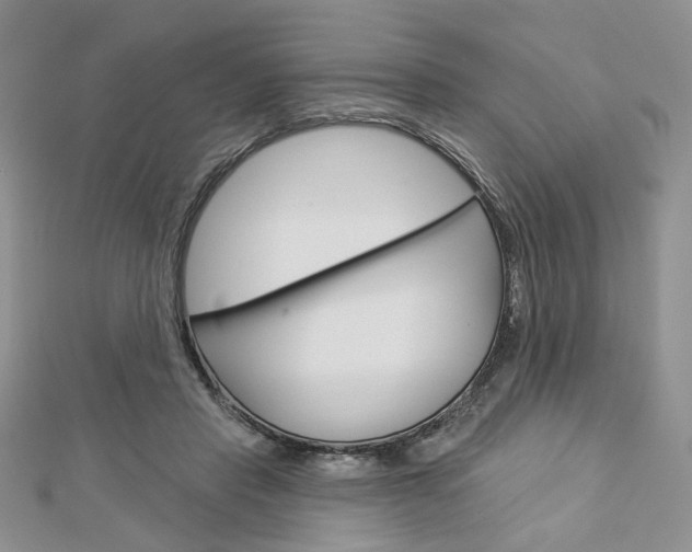 X0000113060453200908280951
