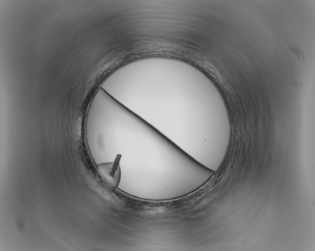 X0000113060454200908280951