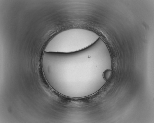 X0000113060455200908280951