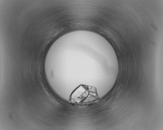 X0000113060456200908280951