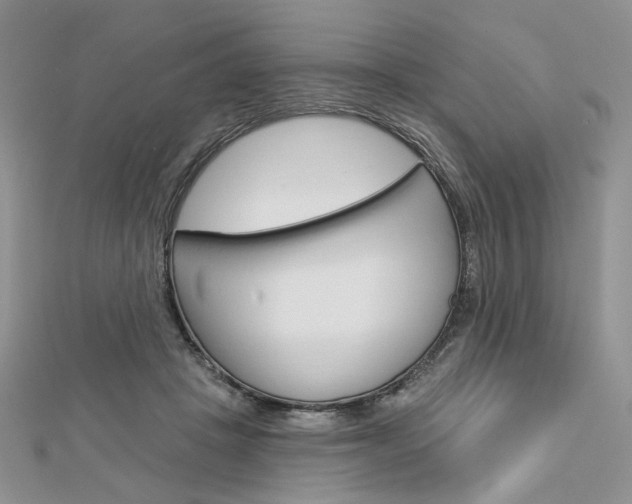 X0000113060457200908280951