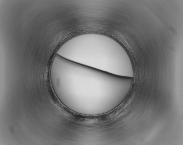 X0000113060458200908280951