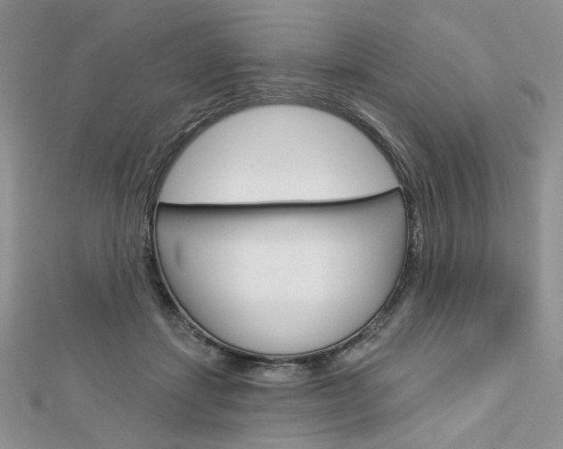 X0000113060459200908280951