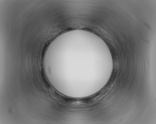 X0000113060460200908280951