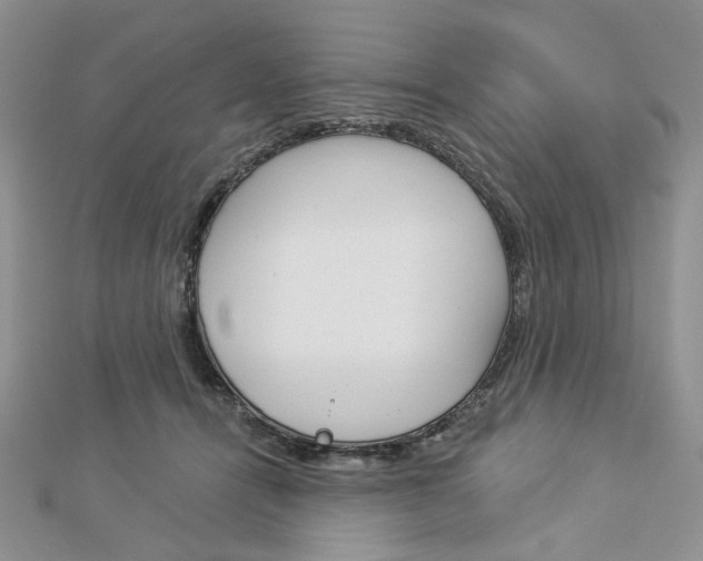X0000113060464200908280951