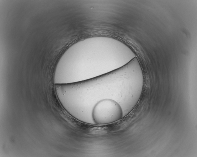 X0000113060465200908280951