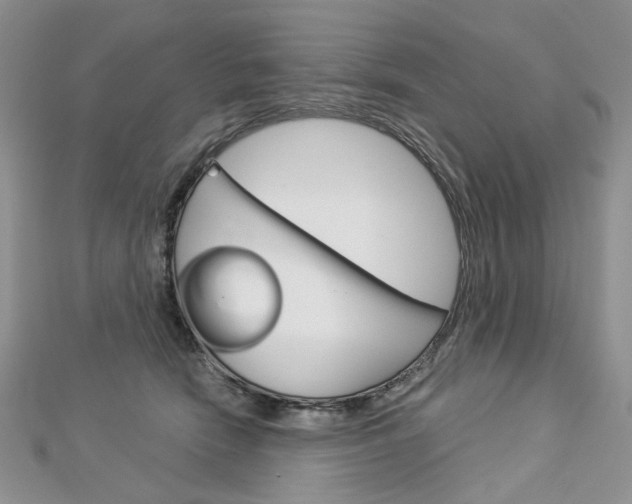 X0000113060466200908280951