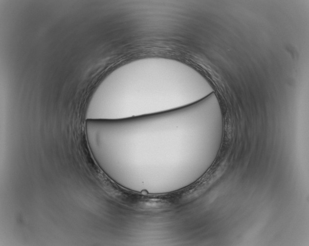 X0000113060467200908280951