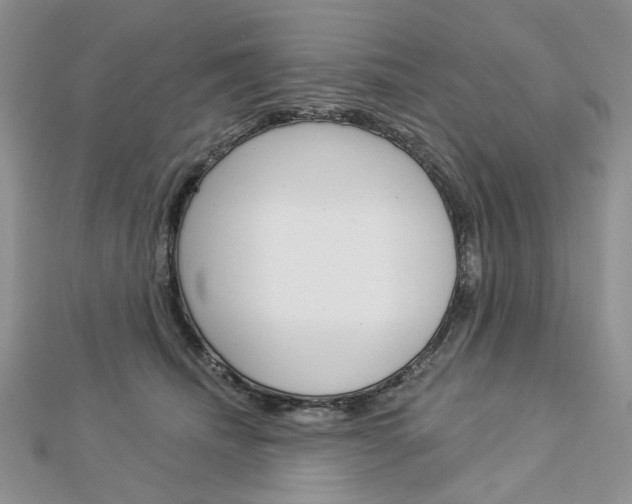 X0000113060468200908280951