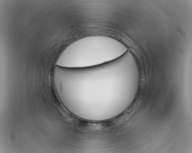 X0000113060469200908280951