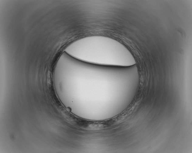 X0000113060470200908280951