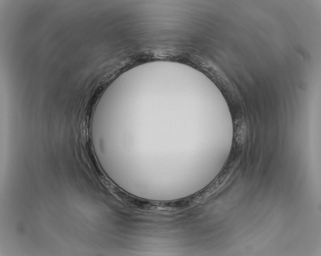 X0000113060471200908280951