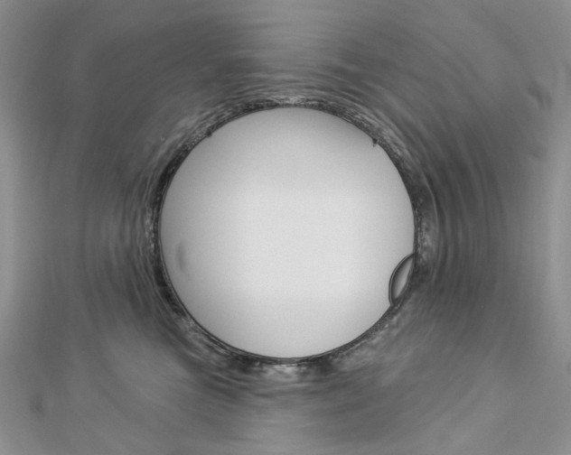 X0000113060473200908280951
