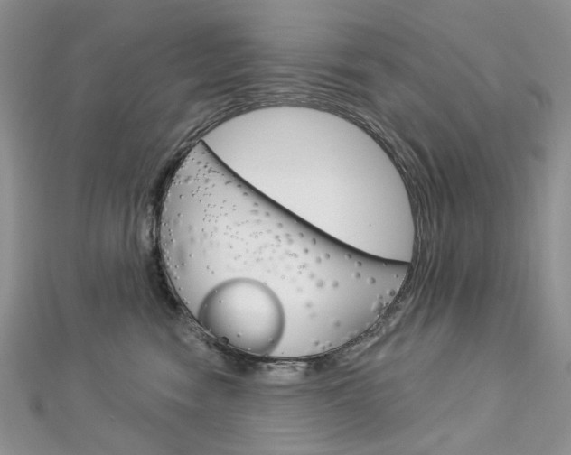 X0000113060474200908280951