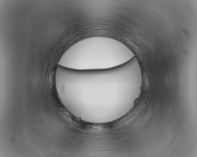 X0000113060475200908280951
