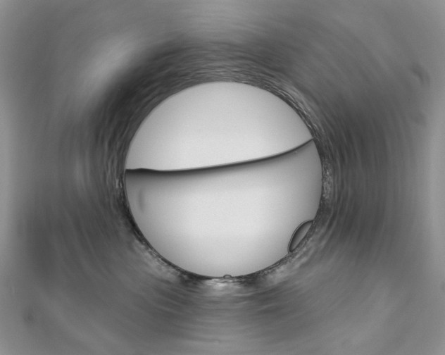 X0000113060477200908280951