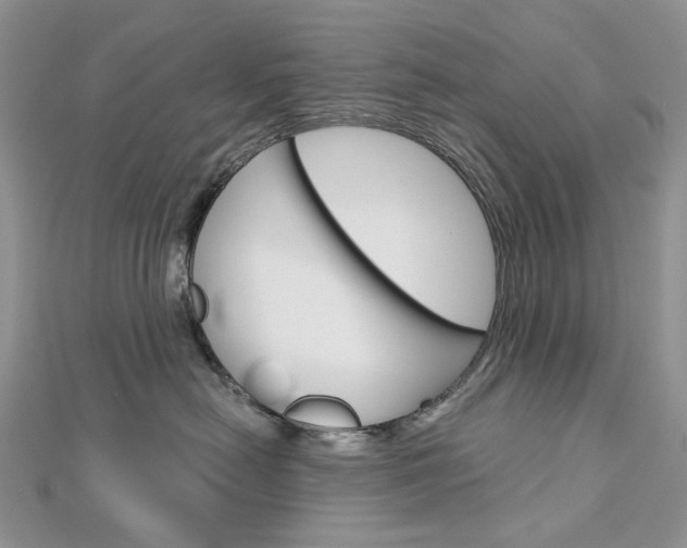 X0000113060478200908280951