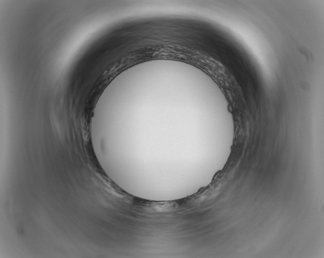 X0000113060479200908280951