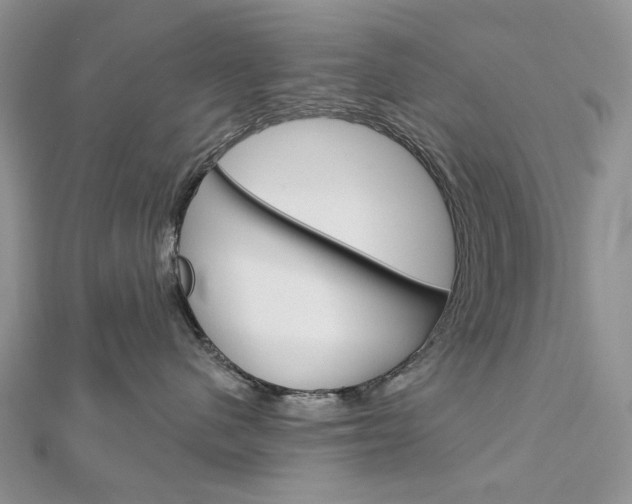 X0000113060480200908280951