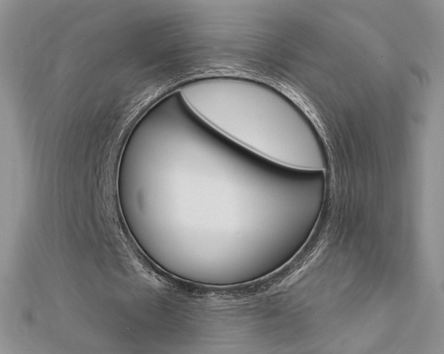 X0000113060481200908280951