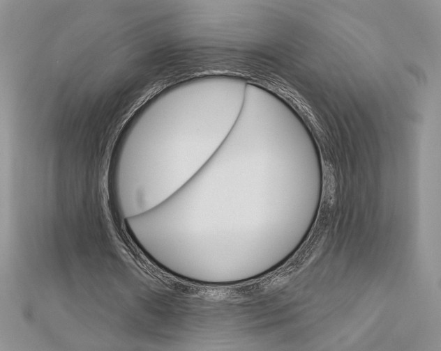 X0000113060482200908280951