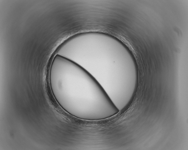 X0000113060483200908280951