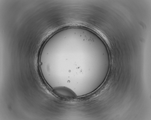 X0000113060485200908280951