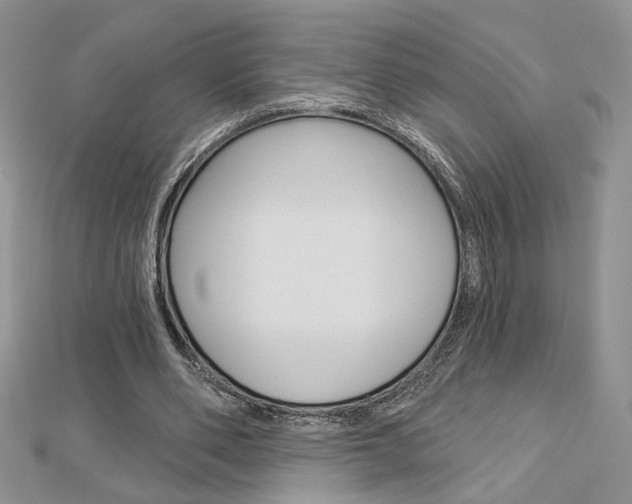 X0000113060486200908280951