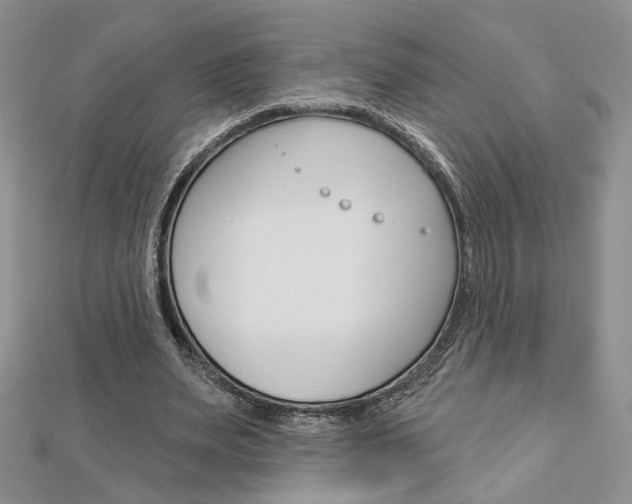X0000113060487200908280951