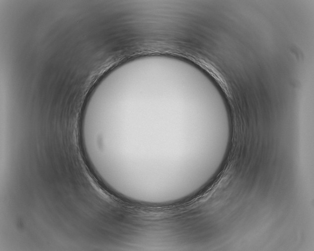 X0000113060489200908280951