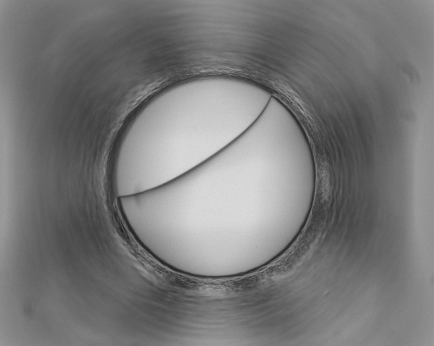 X0000113060490200908280951