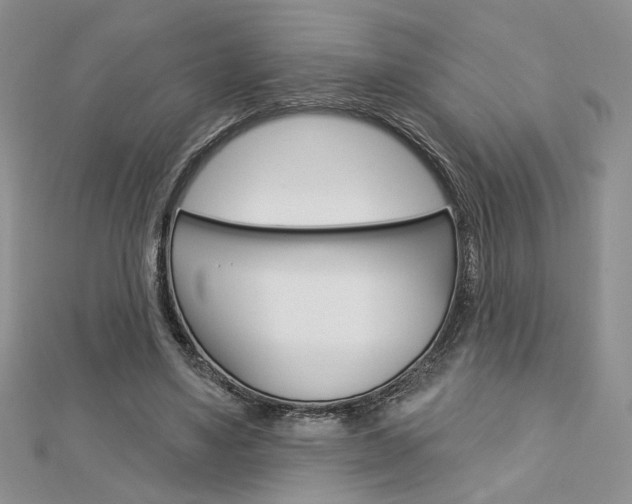 X0000113060491200908280951