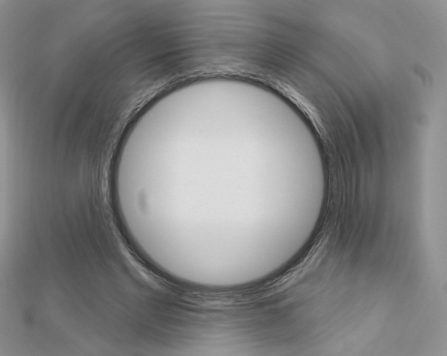 X0000113060493200908280951