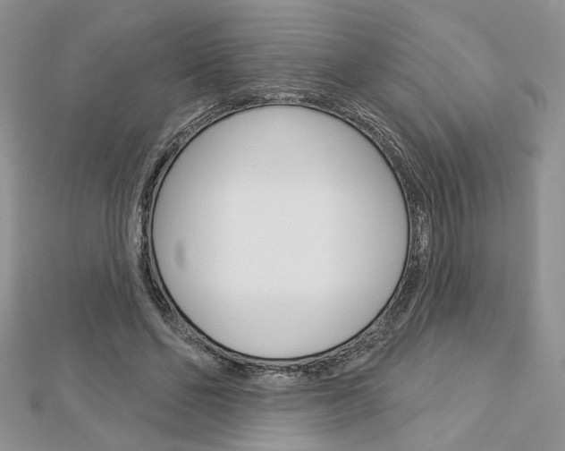 X0000113060494200908280951